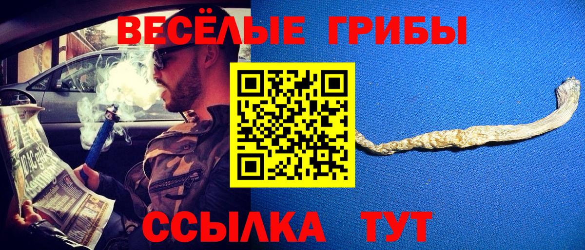 Галлюциногенные грибы Cubensis Радужный